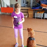 312 Kunterbunter Hund - Hunde verstehen lernen Aug-07 (01).jpg