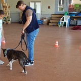 314 Hunde verstehen lernen (09)