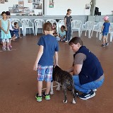 314 Hunde verstehen lernen (17)