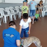 314 Hunde verstehen lernen (20)