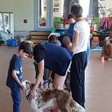 314 Hunde verstehen lernen (21)