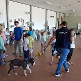 314 Hunde verstehen lernen (28)