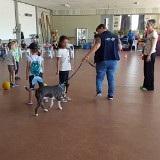 314 Hunde verstehen lernen (30)