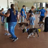 314 Hunde verstehen lernen (31)