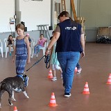 314 Hunde verstehen lernen (35)