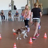 314 Hunde verstehen lernen (36)