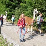 512 Lama-Trekking mit Bräteln am Lagerfeuer (022)