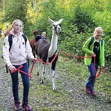 512 Lama-Trekking mit Bräteln am Lagerfeuer (089)