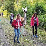 512 Lama-Trekking mit Bräteln am Lagerfeuer (091)