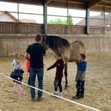 601 Wie lernt ein Pferd uns zu verstehen (12)