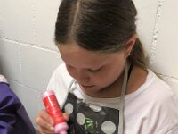 228 Finken selber gestalten (04)