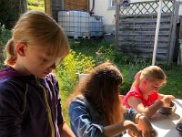 230 Duschseife herstellen (26)