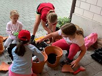 231 Wichtel- oder Feengarten gestalten (07)