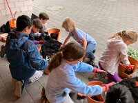 231 Wichtel- oder Feengarten gestalten (09)
