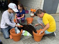 231 Wichtel- oder Feengarten gestalten (20)
