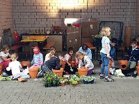 231 Wichtel- oder Feengarten gestalten (26)