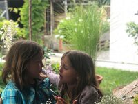 313 Flower Crown - Blumen-Haarkranz (5)