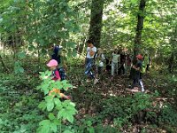 501 Wald-Piraten (3)