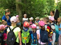 501 Wald-Piraten (4)