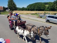507 Eseltour im Wald (2)