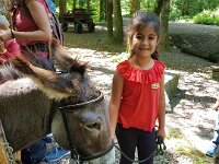 507 Eseltour im Wald (3)