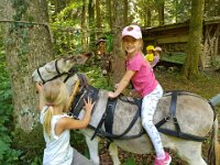 507 Eseltour im Wald (5)