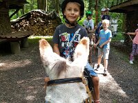 507 Eseltour im Wald (6)