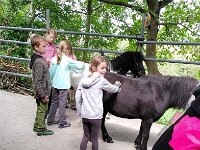 514 Pferde kennenlernen (11)