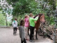 514 Pferde kennenlernen (13)