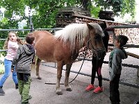 514 Pferde kennenlernen (14)
