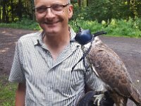 522 Von Falken und anderen Greifvögeln