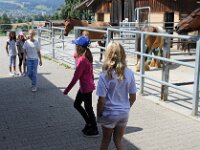 601 Wie lernt ein Zirkuspferd (13)