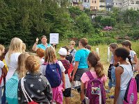 603 Was flattert da durch die Nacht (02)