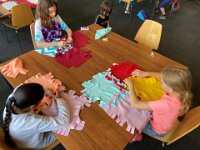 203 Buntes Kuschelkissen mit Fransen (60)