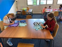 203 Buntes Kuschelkissen mit Fransen (63)