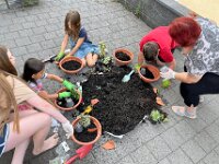 231 Wichtel- oder Feengarten gestalten (11)