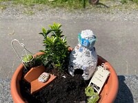 231 Wichtel- oder Feengarten gestalten (15)