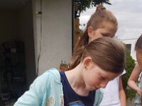 234 Schwemmholzaufhänger (1)