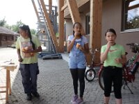311 Werken mit Holz (42)