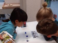 448 Tisch- und Gesellschaftsspiele (8)
