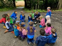 501 Wald-Piraten (1)