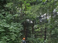 505 Mit dem Förster Pflanzen und Tiere erleben (6)