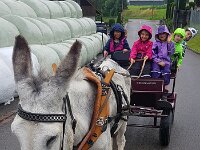 507 Esel-Tour im Wald (1)