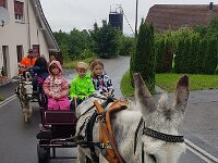 507 Esel-Tour im Wald (2)