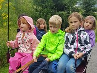 507 Esel-Tour im Wald (4)
