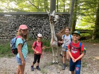 512 Lama-Trekking mit braeteln am Lagerfeuer (1)