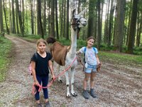 512 Lama-Trekking mit braeteln am Lagerfeuer (12)