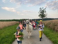 512 Lama-Trekking mit braeteln am Lagerfeuer (14)