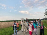 512 Lama-Trekking mit braeteln am Lagerfeuer (15)