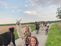 512 Lama-Trekking mit braeteln am Lagerfeuer (17)